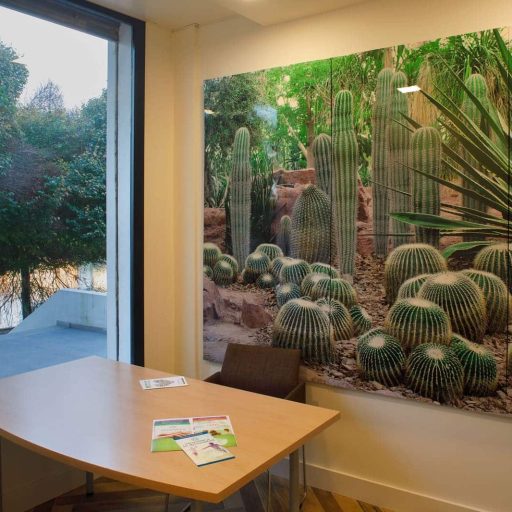 Quiénes somos 9 centro-psyco-sevilla_09